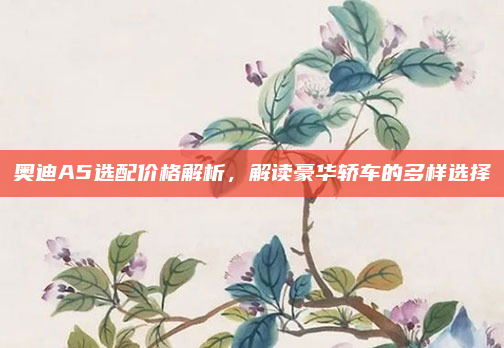 奥迪A5选配价格解析,解读豪华轿车的多样选择