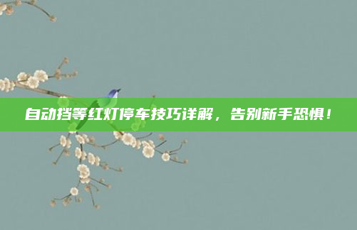 自动挡等红灯停车技巧详解,告别新手恐惧!