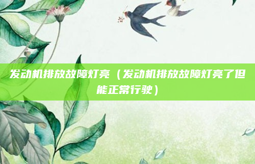 发动机排放故障灯亮（发动机排放故障灯亮了但能正常行驶）