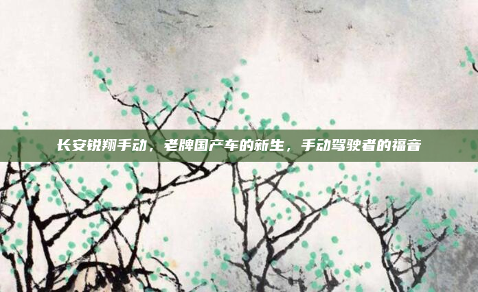 长安锐翔手动，老牌国产车的新生，手动驾驶者的福音