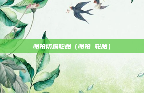 明锐防爆轮胎（明锐 轮胎）