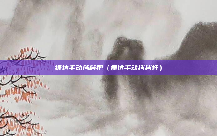 捷达手动挡档把（捷达手动挡挡杆）