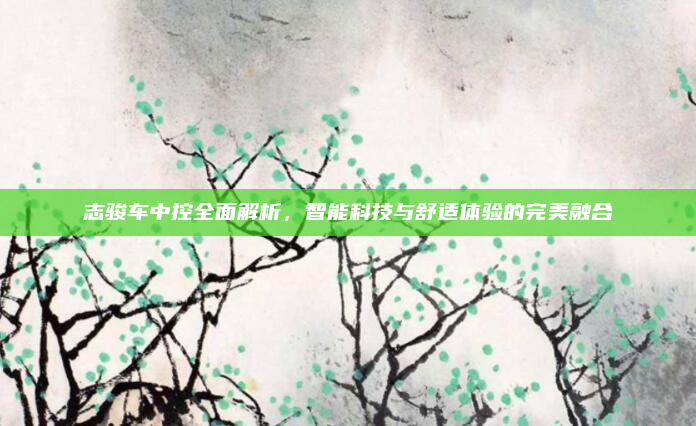志骏车中控全面解析,智能科技与舒适体验的完美融合