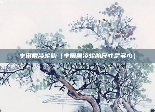 丰田雷凌轮胎（丰田雷凌轮胎尺寸是多少）
