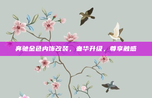 奔驰金色内饰改装,奢华升级,尊享触感