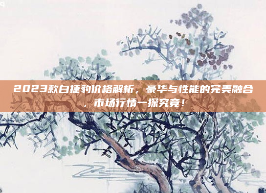 2023款白捷豹价格解析,豪华与性能的完美融合,市场行情一探究竟!