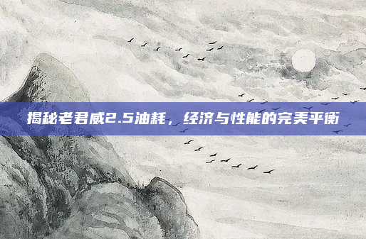 揭秘老君威2.5油耗,经济与性能的完美平衡