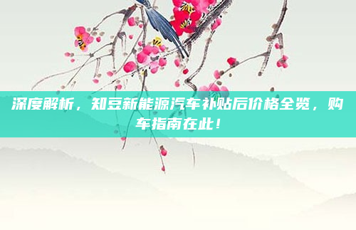 深度解析,知豆新能源汽车补贴后价格全览,购车指南在此!
