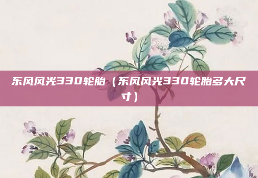 东风风光330轮胎(东风风光330轮胎多大尺寸)