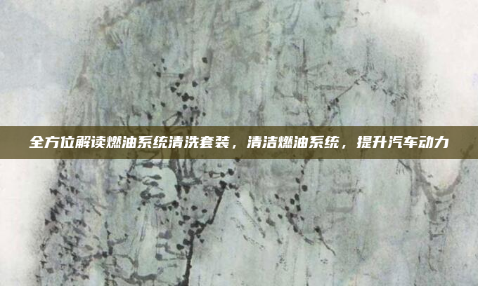 全方位解读燃油系统清洗套装,清洁燃油系统,提升汽车动力