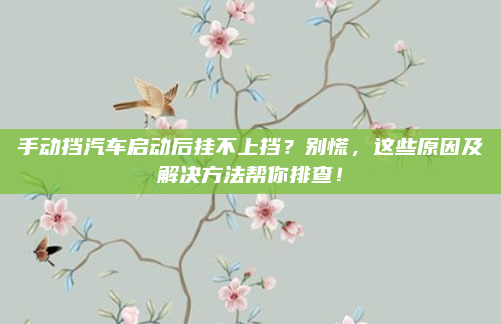 手动挡汽车启动后挂不上挡?别慌,这些原因及解决方法帮你排查!