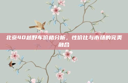 北京40越野车价格分析,性价比与市场的完美融合
