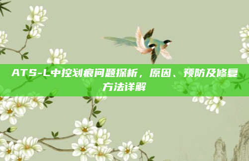 ATS-L中控划痕问题探析，原因、预防及修复方法详解