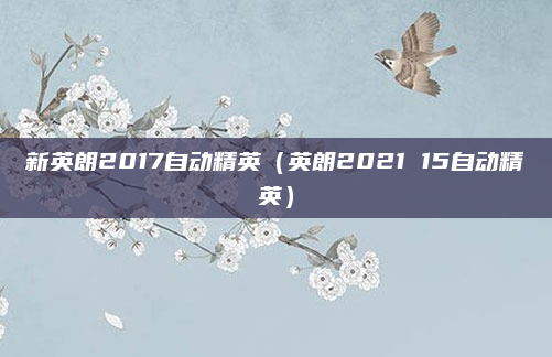 新英朗2017自动精英（英朗2021 15自动精英）