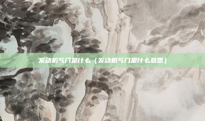 发动机气门是什么（发动机气门是什么意思）