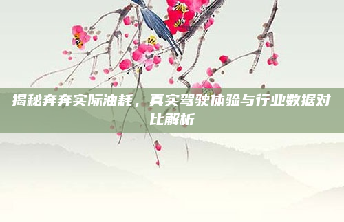 揭秘奔奔实际油耗,真实驾驶体验与行业数据对比解析