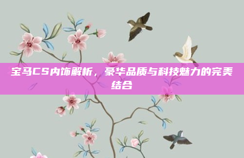 宝马CS内饰解析，豪华品质与科技魅力的完美结合