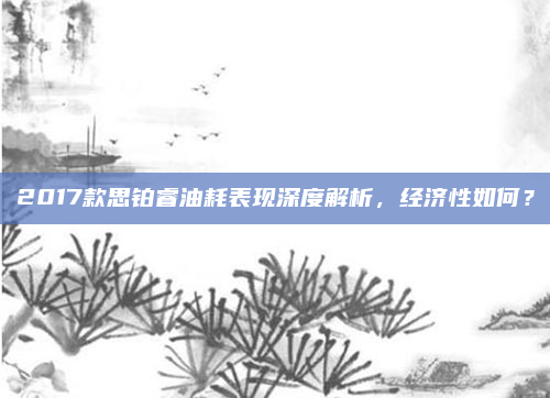 2017款思铂睿油耗表现深度解析，经济性如何？