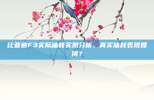 比亚迪F3实际油耗实测分析，真实油耗表现如何？