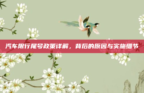 汽车限行尾号政策详解,背后的原因与实施细节