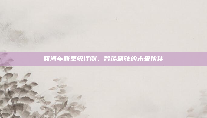 蓝海车联系统评测，智能驾驶的未来伙伴