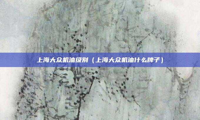 上海大众机油级别（上海大众机油什么牌子）