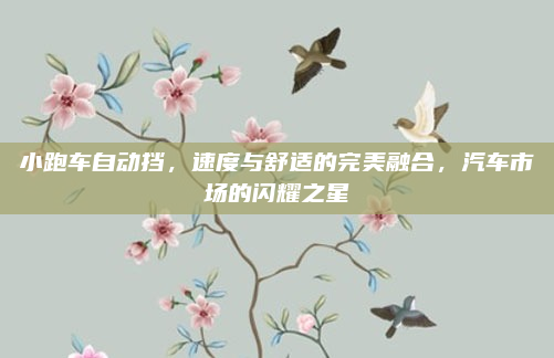 小跑车自动挡,速度与舒适的完美融合,汽车市场的闪耀之星