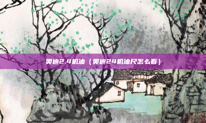 奥迪2.4机油（奥迪24机油尺怎么看）