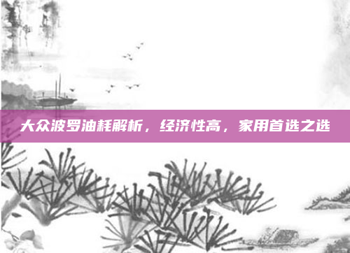 大众波罗油耗解析,经济性高,家用首选之选