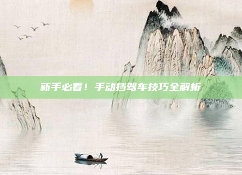 新手必看!手动挡驾车技巧全解析