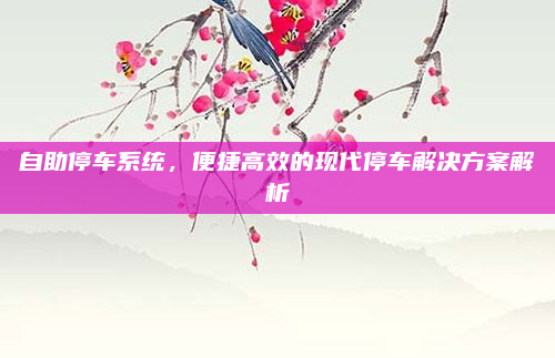 自助停车系统,便捷高效的现代停车解决方案解析