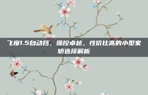飞度1.5自动挡,操控卓越,性价比高的小型家轿选择解析