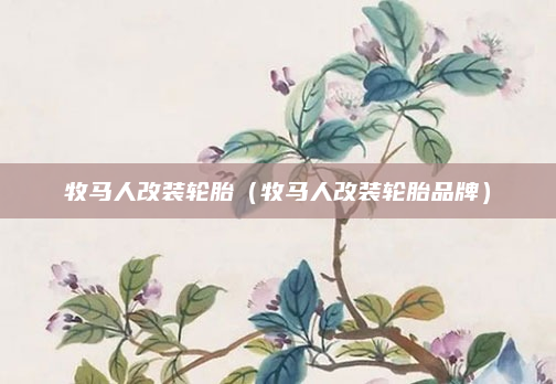 牧马人改装轮胎（牧马人改装轮胎品牌）
