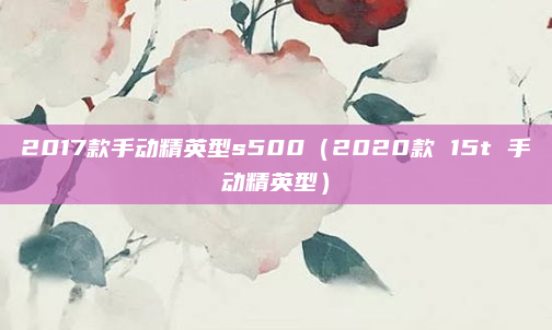 2017款手动精英型s500（2020款 15t 手动精英型）