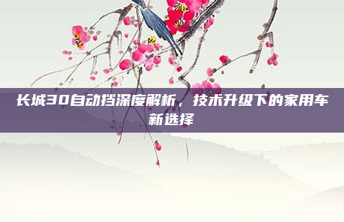 长城30自动挡深度解析,技术升级下的家用车新选择