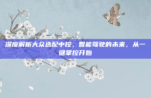 深度解析大众选配中控，智能驾驶的未来，从一键掌控开始