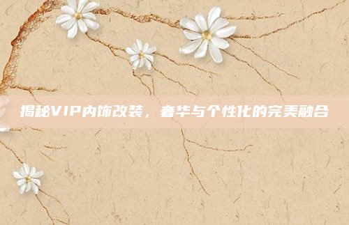 揭秘VIP内饰改装，奢华与个性化的完美融合