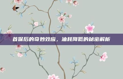 首保后的奇妙效应,油耗降低的秘密解析