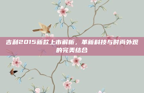 吉利2015新款上市解析,革新科技与时尚外观的完美结合