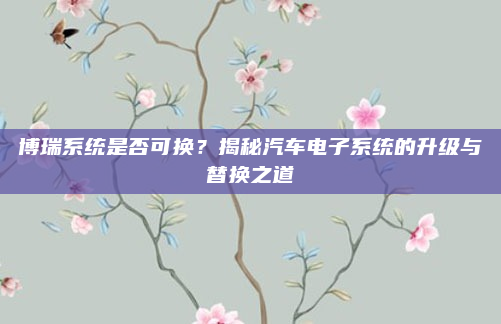 博瑞系统是否可换？揭秘汽车电子系统的升级与替换之道