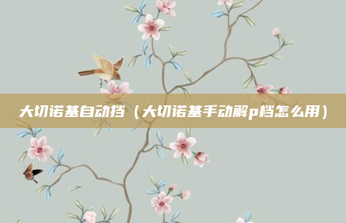 大切诺基自动挡（大切诺基手动解p档怎么用）