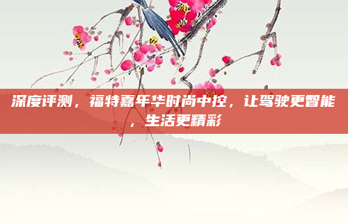深度评测，福特嘉年华时尚中控，让驾驶更智能，生活更精彩