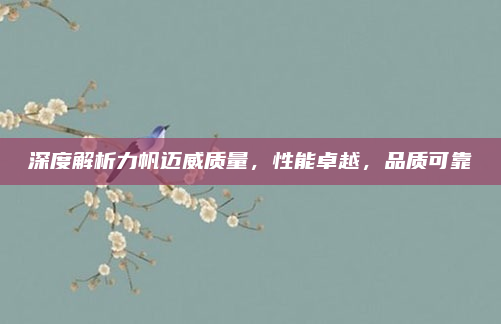深度解析力帆迈威质量,性能卓越,品质可靠