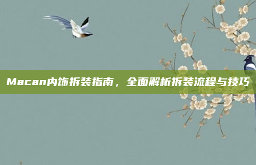 Macan内饰拆装指南,全面解析拆装流程与技巧