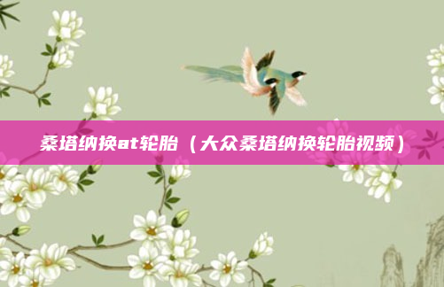 桑塔纳换at轮胎（大众桑塔纳换轮胎视频）
