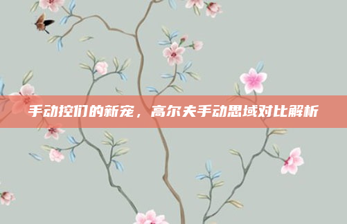 手动控们的新宠，高尔夫手动思域对比解析