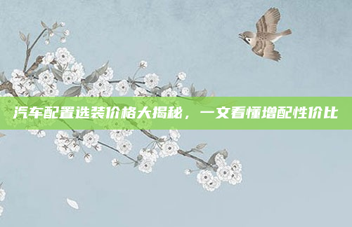 汽车配置选装价格大揭秘,一文看懂增配性价比
