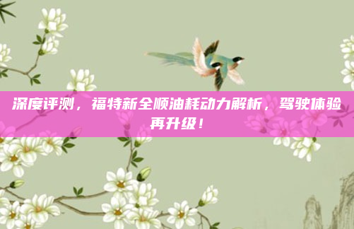 深度评测，福特新全顺油耗动力解析，驾驶体验再升级！