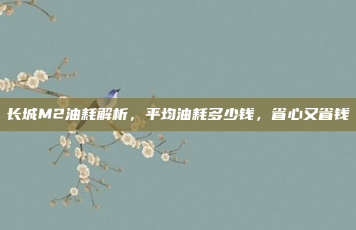 长城M2油耗解析,平均油耗多少钱,省心又省钱