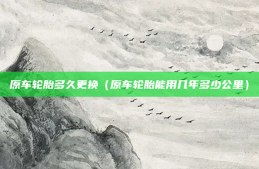 原车轮胎多久更换（原车轮胎能用几年多少公里）